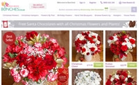 英国网上花店：Bunches