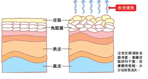 洗脸刷哪个品牌好用 Magnitone London洗脸刷产品介绍