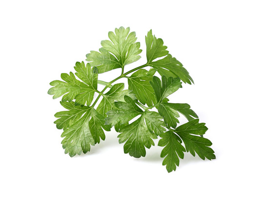 parsley_leaves