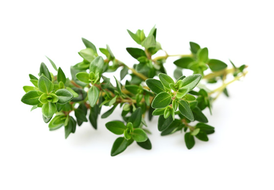 thyme_leaves