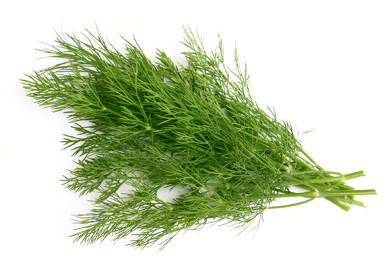 Bunch-of-Dill-iStock