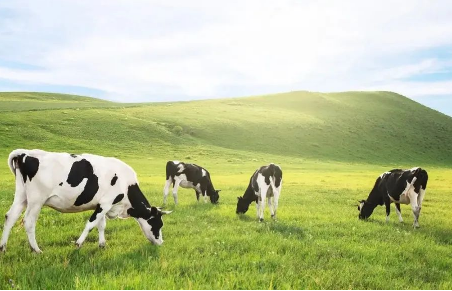 可以从一段喝到3段的放心奶粉品牌有哪些？