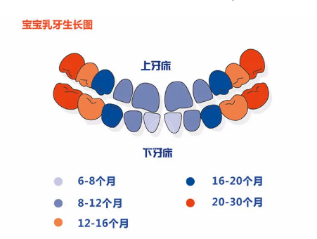 宝宝多大开始刷牙？宝宝牙刷牙膏如何选购？