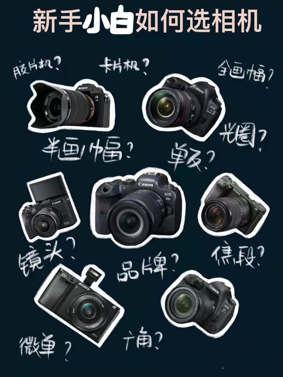 【海淘攻略】日本海淘：新手小白如何选相机？