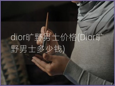 dior旷野男士价格(Dior旷野男士多少钱)