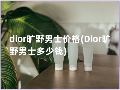 dior旷野男士价格(Dior旷野男士多少钱)