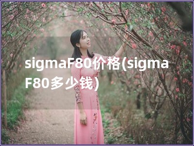 sigmaF80价格(sigmaF80多少钱)