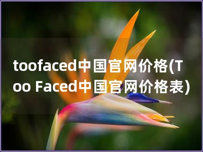 toofaced中国官网价格(Too Faced中国官网价格表)