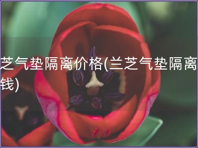 兰芝气垫隔离价格(兰芝气垫隔离多少钱)