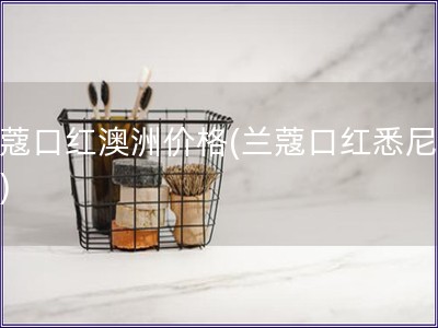 兰蔻口红澳洲价格(兰蔻口红悉尼价钱)