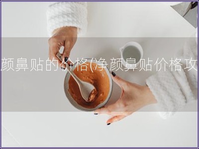 净颜鼻贴的价格(净颜鼻贴价格攻略) 净颜鼻贴的价格(净颜鼻贴价格攻略)