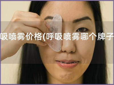 呼吸喷雾价格(呼吸喷雾哪个牌子好) 呼吸喷雾价格(呼吸喷雾哪个牌子好)