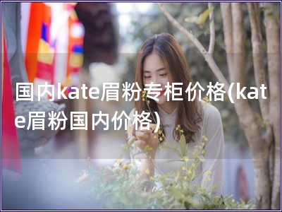 国内kate眉粉专柜价格(kate眉粉国内价格)