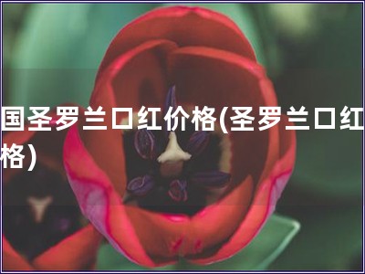法国圣罗兰口红价格(圣罗兰口红的价格) 法国圣罗兰口红价格(圣罗兰口红的价格)