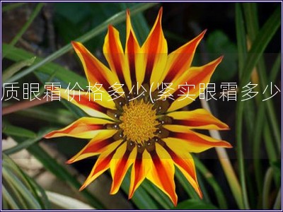 紧质眼霜价格多少(紧实眼霜多少钱)