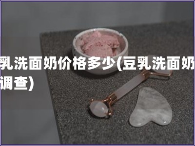 豆乳洗面奶价格多少(豆乳洗面奶价格调查)