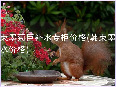 韩束墨菊巨补水专柜价格(韩束墨菊补水价格)